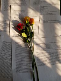 Close-up of rose bouquet on table