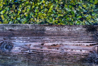 Close-up of weathered wooden wall