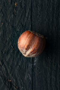 High angle view of shell on table