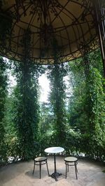 Empty chairs and table in park