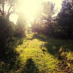 People walking on grassy field