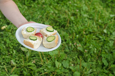 Midsection of person holding apple on grass