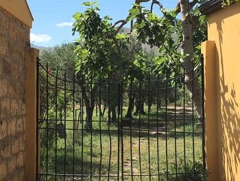 Gate and trees against sky