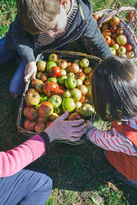 High angle view of fruits and vegetables