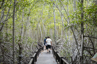 Rear view of man walking on footbridge in forest