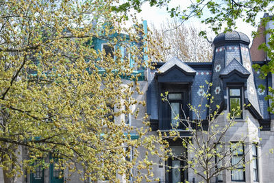 Low angle view of flowering plants and trees against building