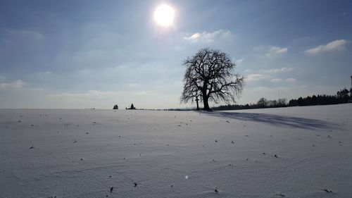 Scenic view of snowy field against sky during winter