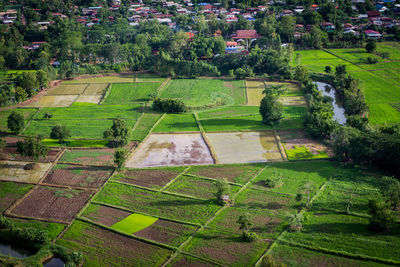 Scenic view of agricultural field