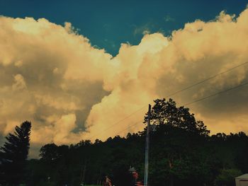 Low angle view of silhouette trees against sky during sunset