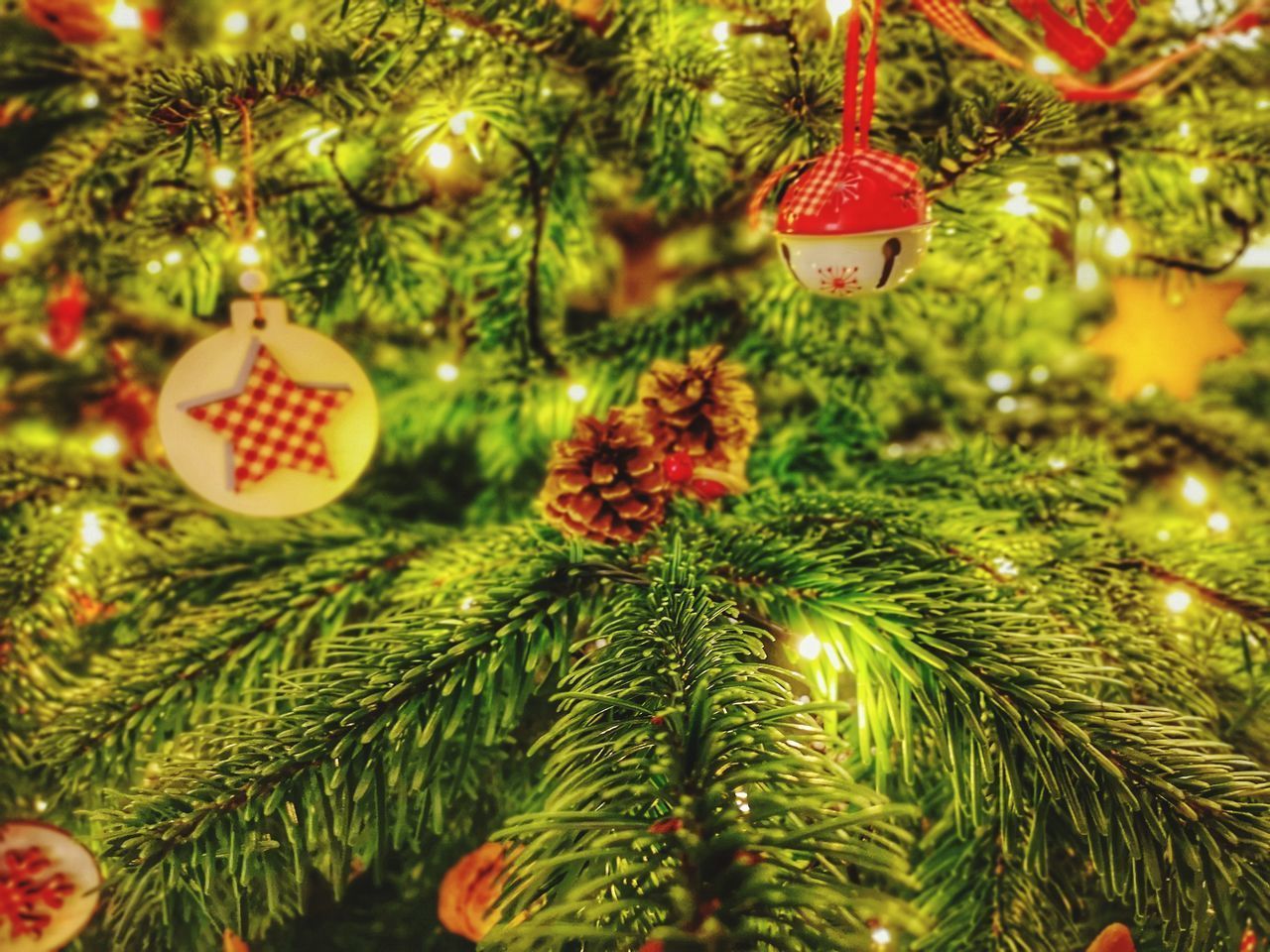 CLOSE-UP OF CHRISTMAS TREE WITH LEAVES