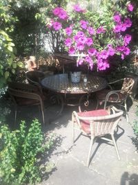 Chairs and table against trees