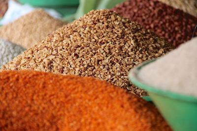 Close-up of seeds for sale