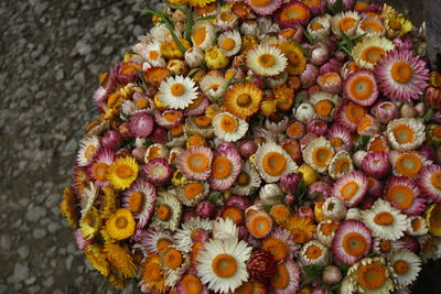 High angle view of flowers