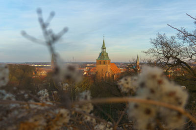 Panoramic view of trees and buildings against sky