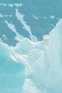 Aerial view of frozen sea