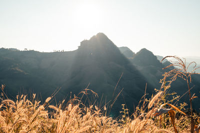 Scenic view of mountains against clear sky