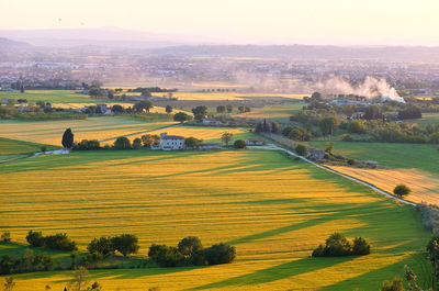 Scenic view of agricultural field against sky