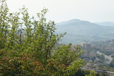 High angle view of trees and plants against sky