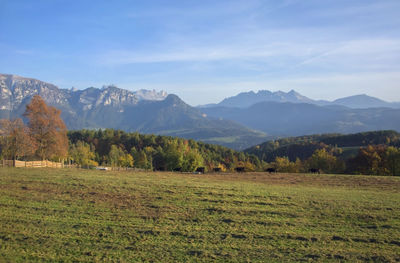 Scenic view of field and mountains against sky
