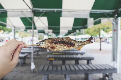 Close-up of hand holding meat on barbecue grill