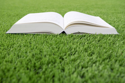 Open book on field