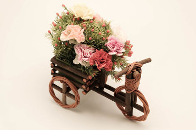 Close-up of flower pot against white background