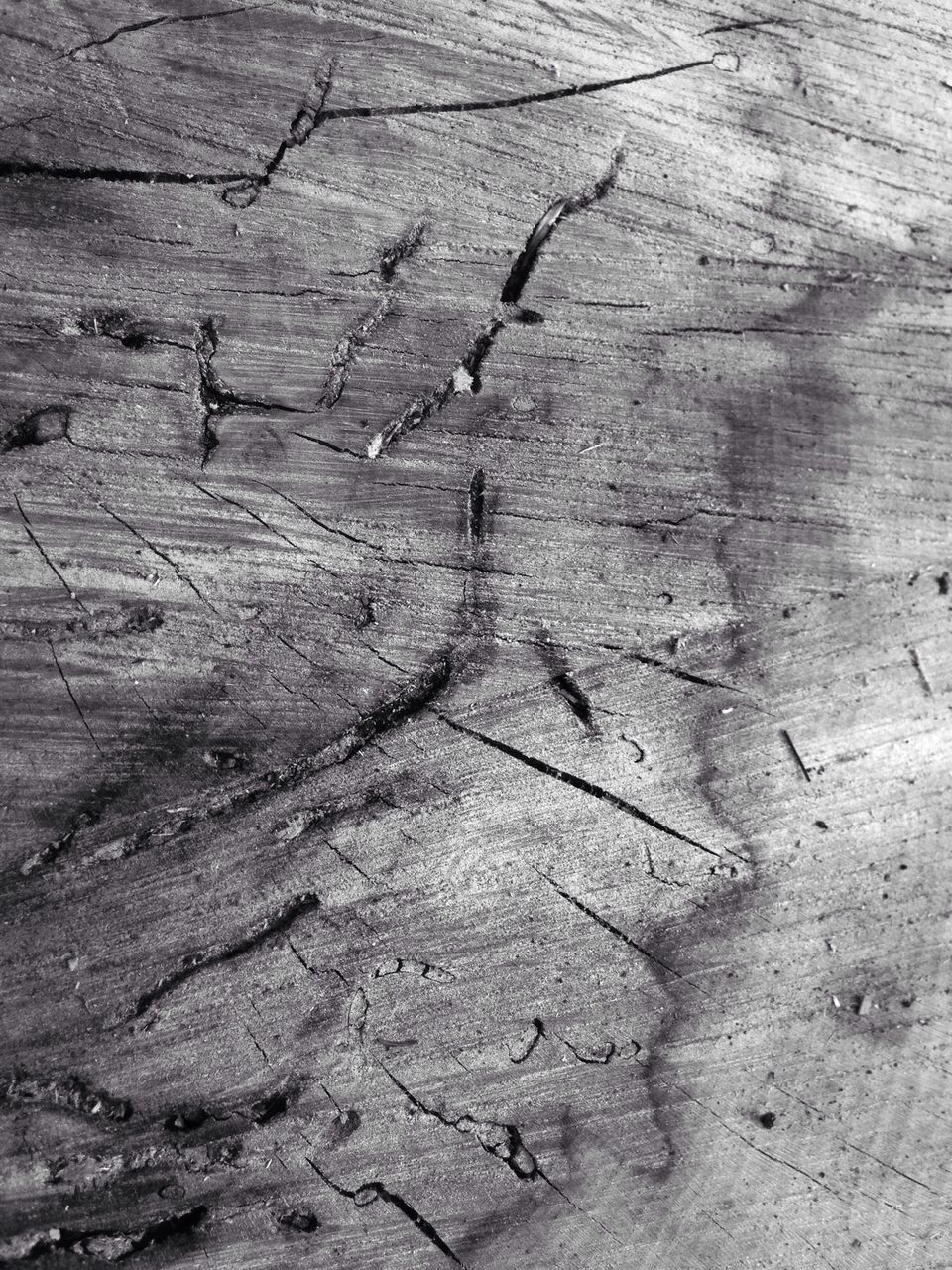 textured, backgrounds, full frame, nature, high angle view, rough, cracked, tranquility, natural pattern, dry, wood - material, day, tree trunk, no people, outdoors, tree, pattern, dead plant, sand, sunlight