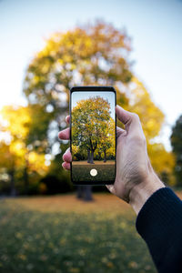 Hand holding mobile phone in park