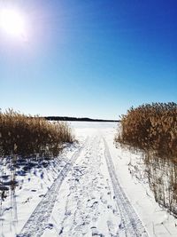 Snow covered plants against sky