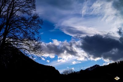 Low angle view of silhouette trees against blue sky