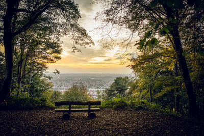 Empty bench by trees against sky during sunset