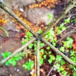 High angle view of a barbed wire