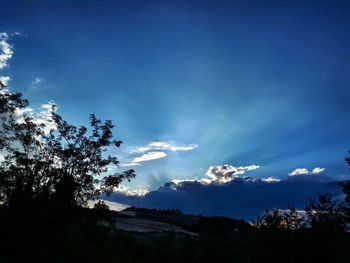 Low angle view of silhouette trees against blue sky