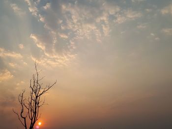 Low angle view of silhouette tree against sky during sunset