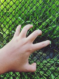 Cropped hand of person holding fence against plants