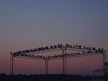 Low angle view of silhouette birds against clear sky