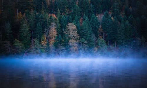 Fog over lake with forest in background