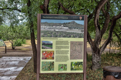 Information sign on tree trunk in park