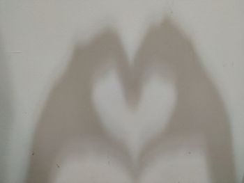 Shadow of woman holding heart shape on white wall