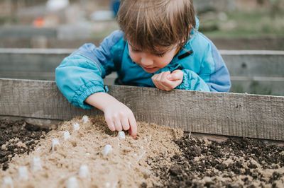 Spring planting seeding in farm garden. kid boy farmer gardener plants sow vegetable seeds in soil