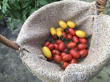 High angle view of tomatoes in container