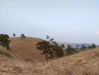 Scenic view of landscape against clear sky