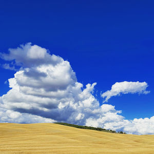 Scenic view of field against blue sky