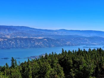 Scenic view of forest against clear blue sky