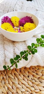 High angle view of flowering plant in basket on table