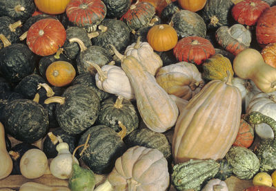 Full frame shot of pumpkins