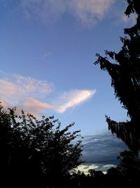 Low angle view of trees against cloudy sky