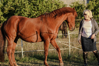 Senior woman standing by horse on field