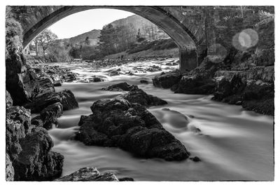 Arch bridge over river amidst trees