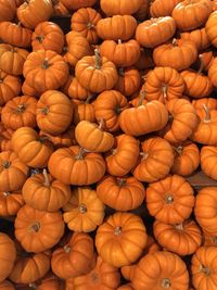 Full frame shot of pumpkins